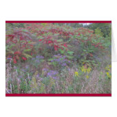 創造バウンティ (正面横)