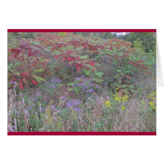 創造バウンティ (正面横)