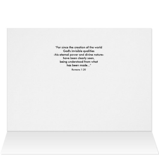 創造バウンティ (内部横(上))