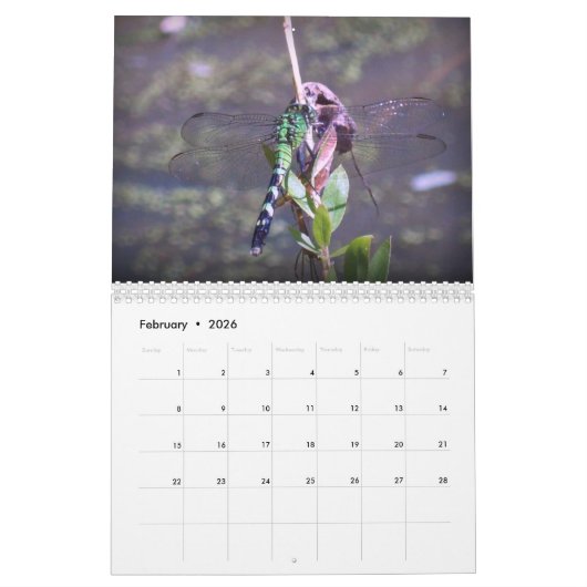 創造物 カレンダー (2月 2026)