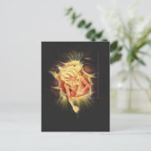 創造 ポストカード (スタンド正面)