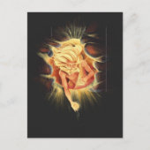 創造 ポストカード (正面)