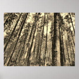 劇場森林樹のポスター ポスター