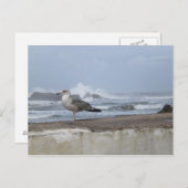 劇的なカモメ ポストカード (正面/裏面)