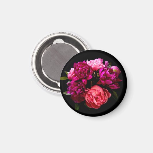 劇的なピンクと紫の牡丹 マグネット (正面/裏面)