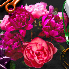 劇的なピンクと紫の牡丹 薄葉紙