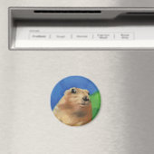 劇的な失敗 マグネット (インサイチュ (食洗機))