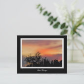 劇的な日没の鳥のサンディエゴのピンクのオレンジ ポストカード (スタンド正面)