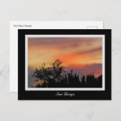 劇的な日没の鳥のサンディエゴのピンクのオレンジ ポストカード (正面/裏面)