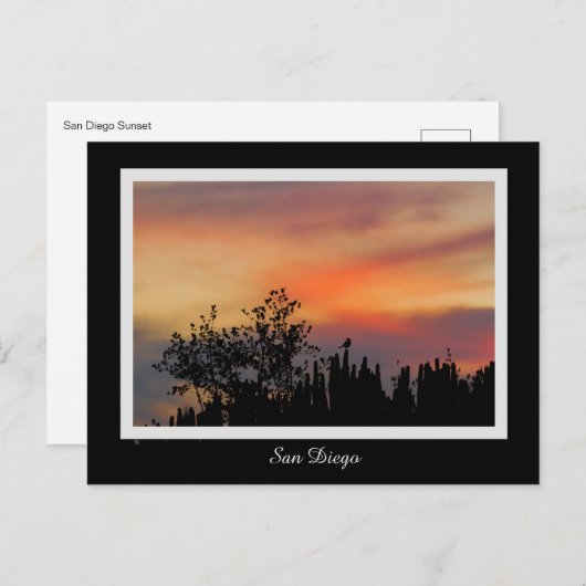 劇的な日没の鳥のサンディエゴのピンクのオレンジ ポストカード (正面/裏面)