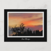 劇的な日没の鳥のサンディエゴのピンクのオレンジ ポストカード (正面)