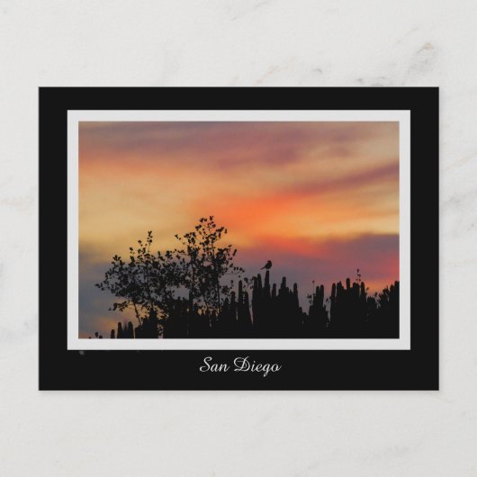 劇的な日没の鳥のサンディエゴのピンクのオレンジ ポストカード (正面)