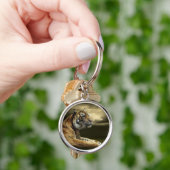 劇的な空の下に見、坐っているトラ キーホルダー (手)