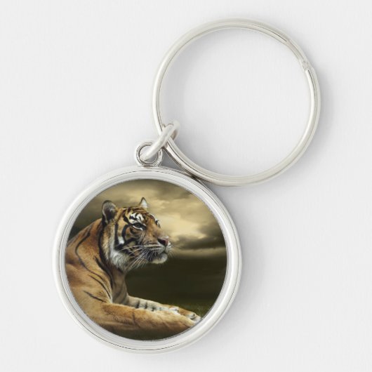 劇的な空の下に見、坐っているトラ キーホルダー (正面)