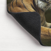 劇的な空の下に見、坐っているトラ マウスパッド (コーナー)