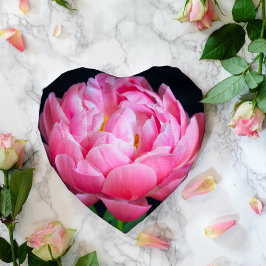 劇的な美しいピンクの牡丹 薄葉紙