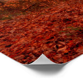 劇的な赤い霧の冬の雪のない森 ポスター (角)