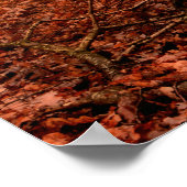 劇的な赤い霧の冬の雪のない森 ポスター (角)