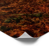 劇的な赤い霧の冬の雪のない森 ポスター (角)