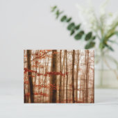 劇的な赤い霧の冬の雪のない森 ポストカード (スタンド正面)