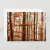 劇的な赤い霧の冬の雪のない森 ポストカード (正面/裏面)