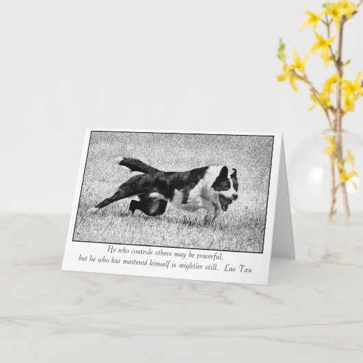 力の昼寝 カード (黄色い花)