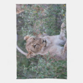 力強い雌ライオン - 野生動物の写真 キッチンタオル (縦)