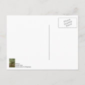 力強く堂々と ポストカード (裏面)