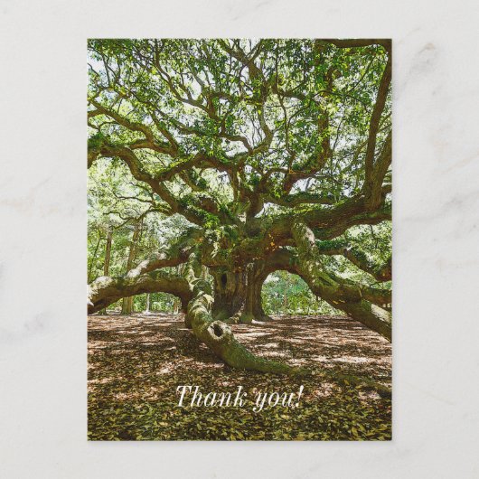 力強く堂々と ポストカード (正面)