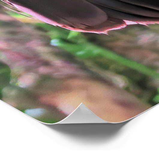 加果 ポスター (角)