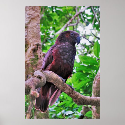 加果 ポスター (正面)