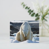 助けは、私の世界溶けています! ポストカード (スタンド正面)