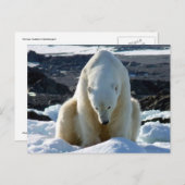 助けは、私の世界溶けています! ポストカード (正面/裏面)