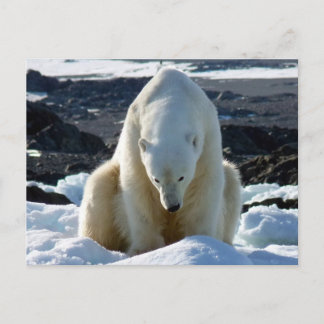 助けは、私の世界溶けています! ポストカード