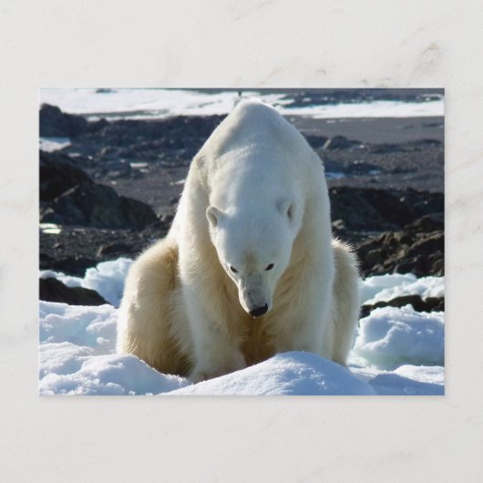 助けは、私の世界溶けています! ポストカード (正面)