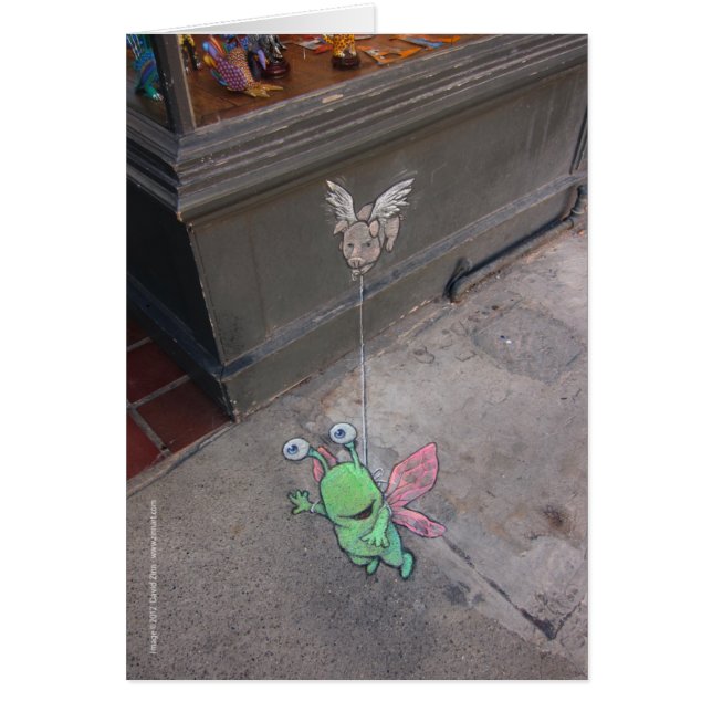 助けられた飛行 (正面)