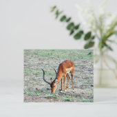 助成官報 ポストカード (スタンド正面)