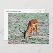 助成官報 ポストカード (正面/裏面)