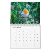 助産師協会2025写真カレンダー カレンダー (2月 2026)