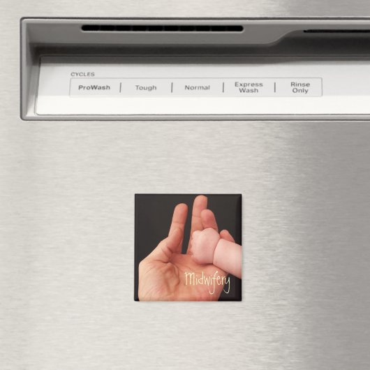 助産師 マグネット (インサイチュ (食洗機))