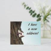 助産所はがきで住所を変更する 案内ポストカード (スタンド正面)