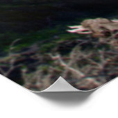 努力は関心最高のの指標である ポスター (角)