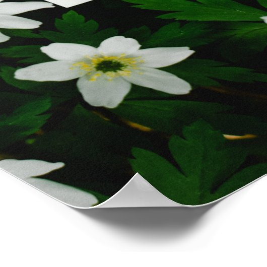 努力ミニマル、最高の寒さ。アンチ動機 ポスター (角)