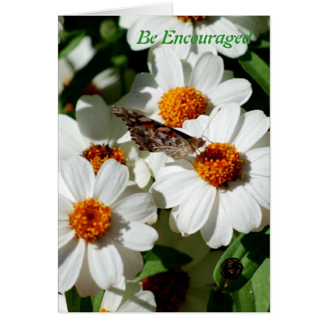 励まされて下さい (正面)