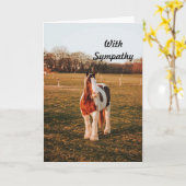 労絵を描馬同情カード カード (黄色い花)