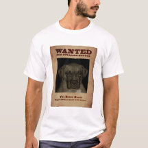 勇敢なボクサー