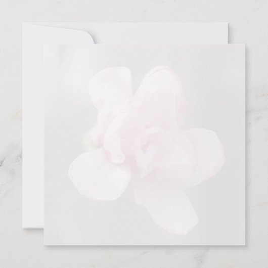 勇敢な人 招待状 (裏面)