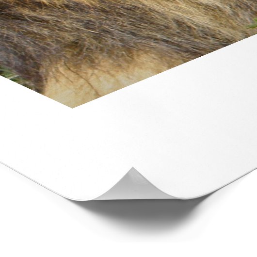 勇気だ! ポスター (角)