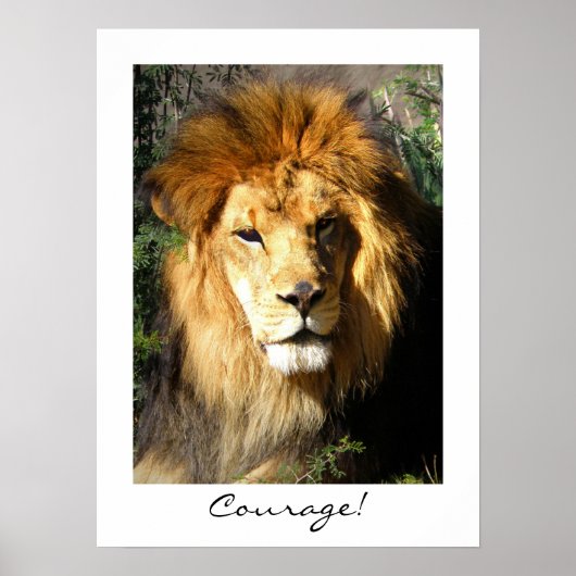 勇気だ! ポスター (正面)