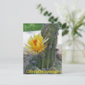 勇気で生きる ポストカード (スタンド正面)